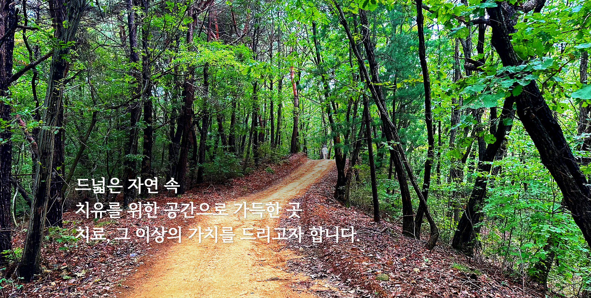 드넓은 자연 속 치유를 위한 공간으로 가득한 곳 치료, 그 이상의 가치를 드리고자 합니다.