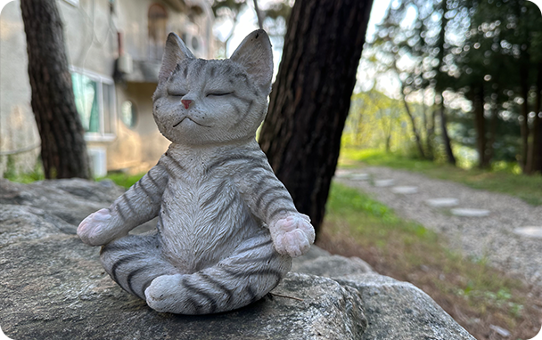 명상 고양이