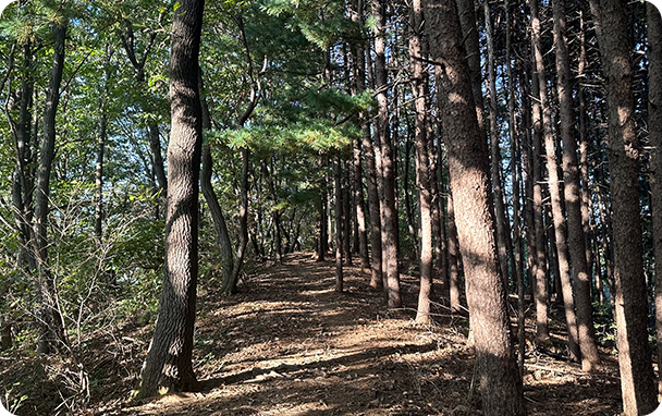 트레킹